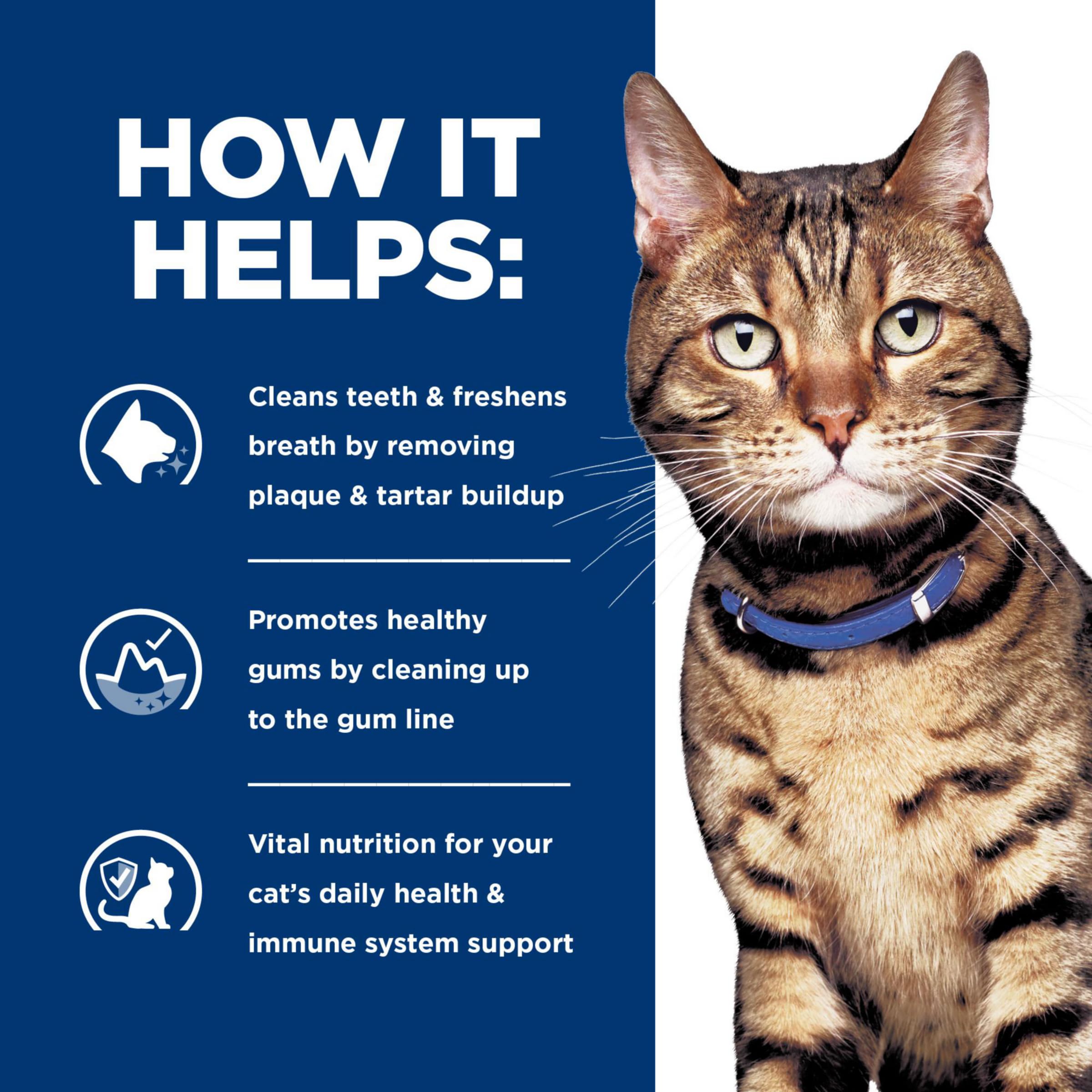 Hill's Prescription Diet t/d fibres intégrées en détail pour action antibactérienne