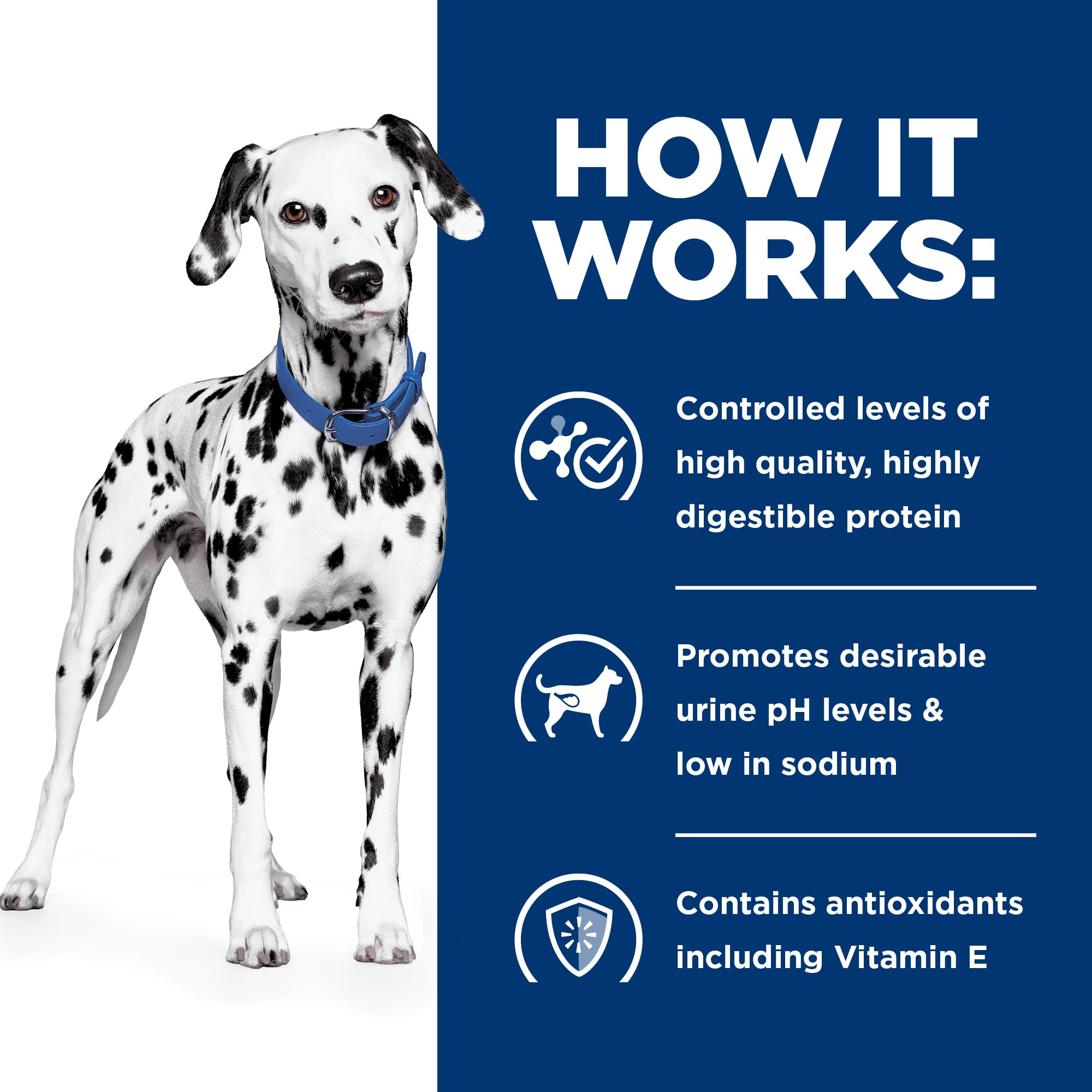 HILL'S PRESCRIPTION DIET comparaison taille croquette pour visualiser l'adaptation bouche