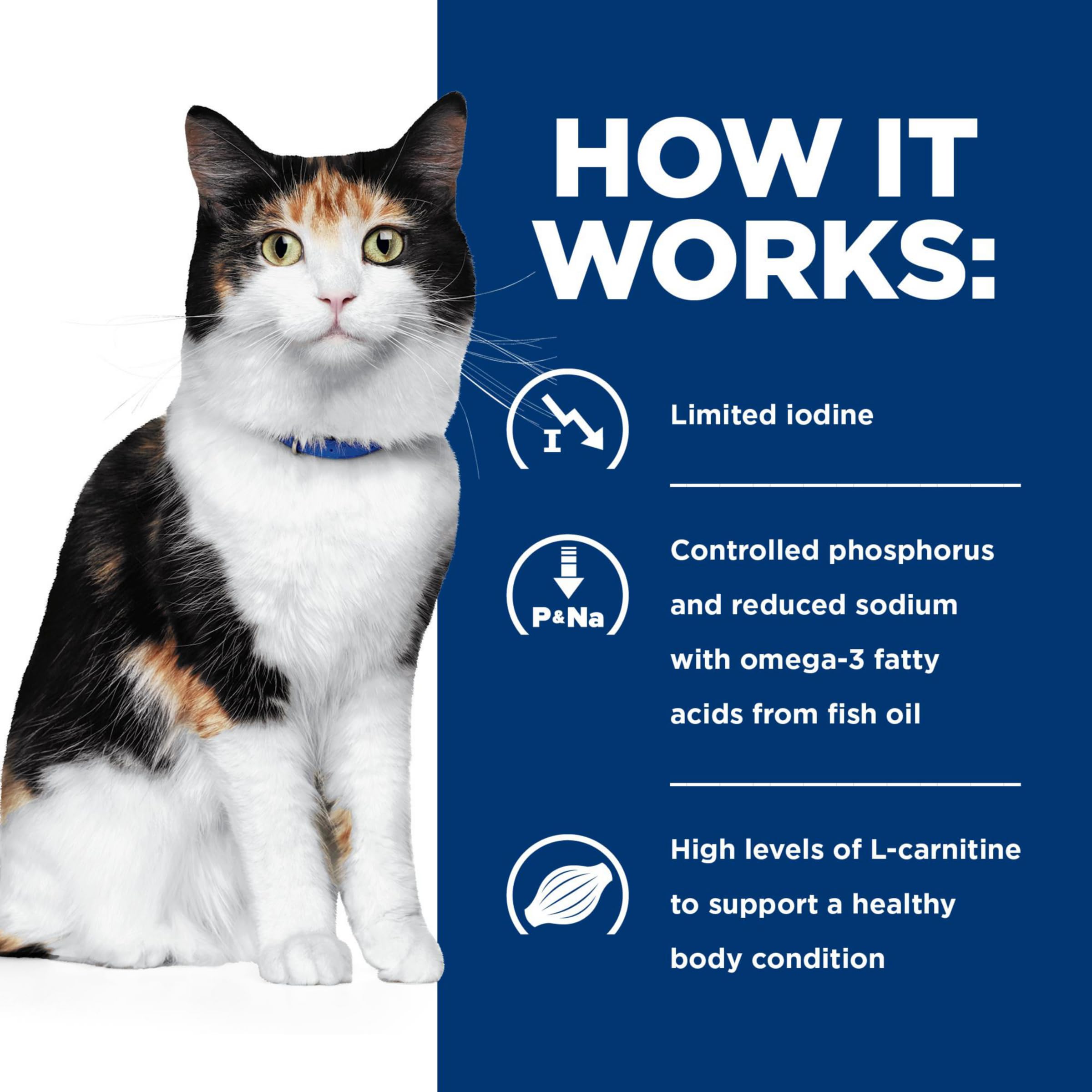 HILL'S PRESCRIPTION DIET boîte à côté d'une main pour évaluer la taille pratique