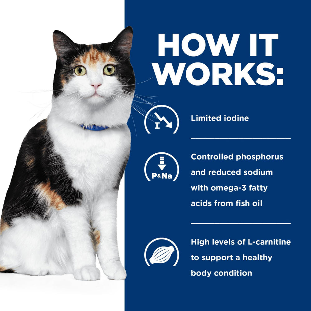 HILL'S PRESCRIPTION DIET boîte à côté d'une main pour évaluer la taille pratique