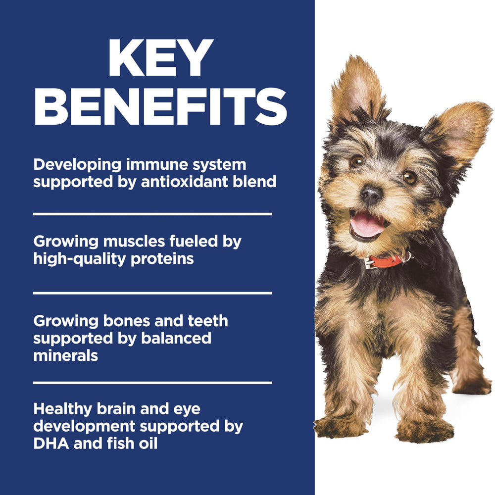Hill's Science Diet chiot mange dans un bol montrant support digestif et plaisir alimentaire