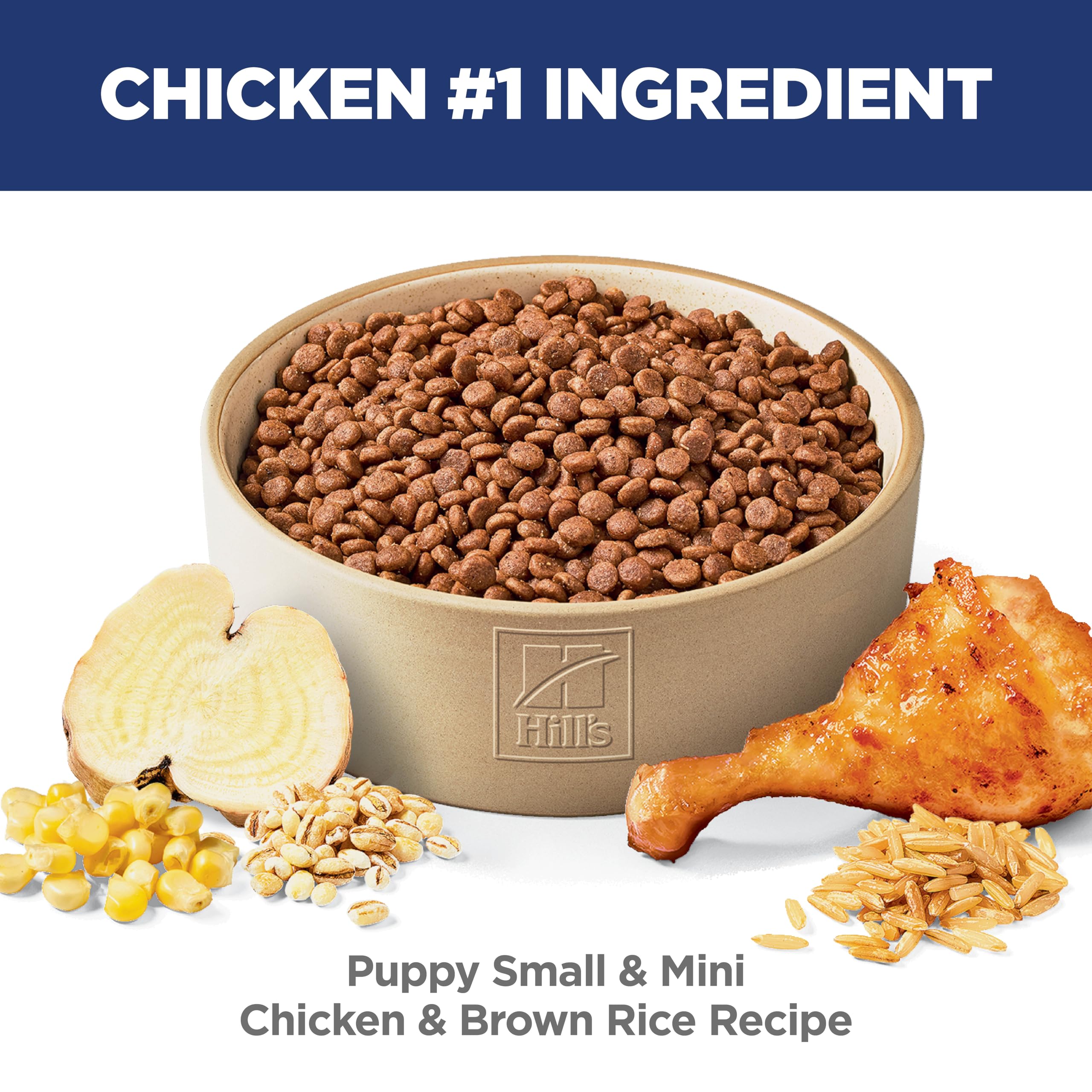 Hill's Science Diet texture intérieure des croquettes illustrant la qualité et appétence pour chiots