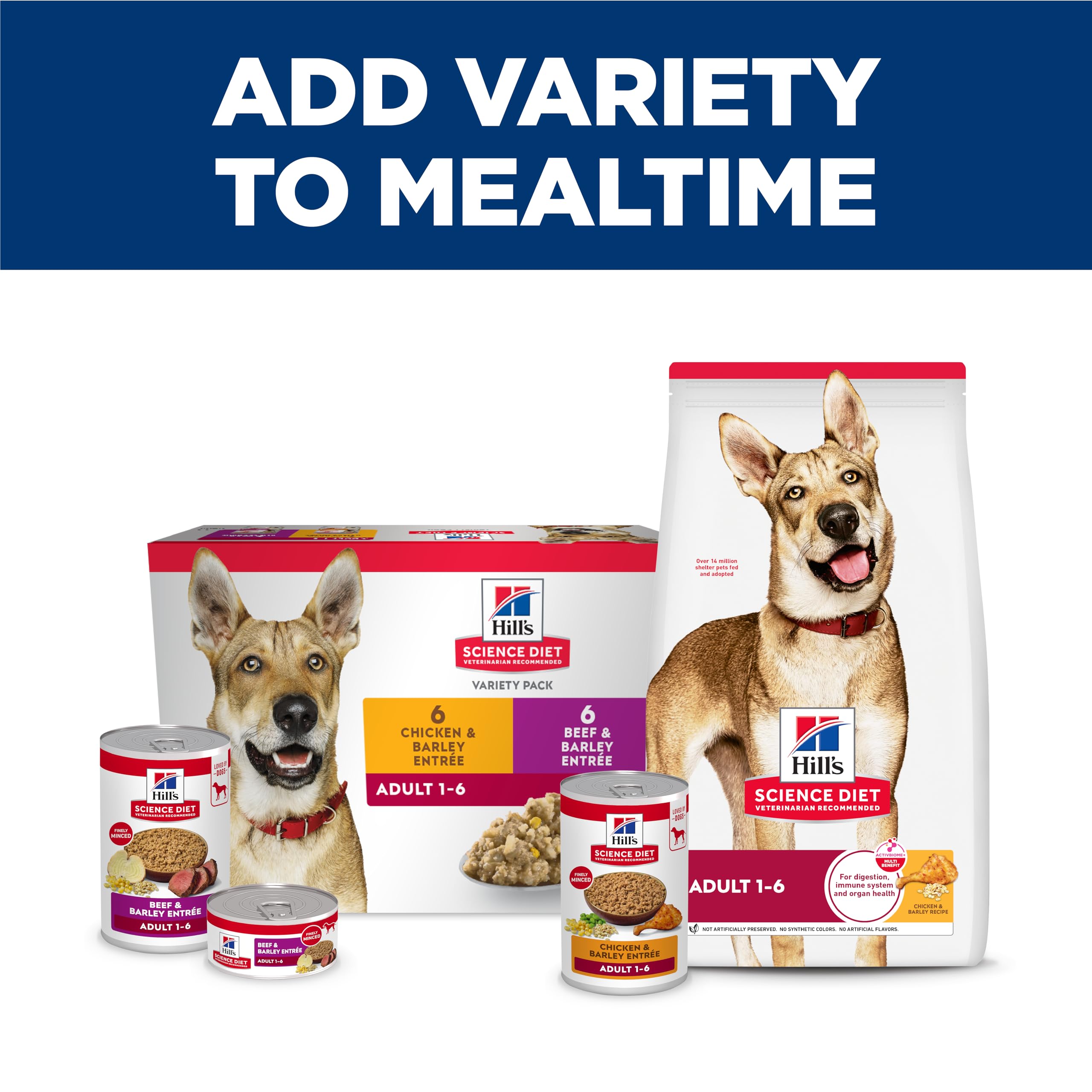 Hill's Science Diet chien adulte mangeant, illustrant l'appétence du produit