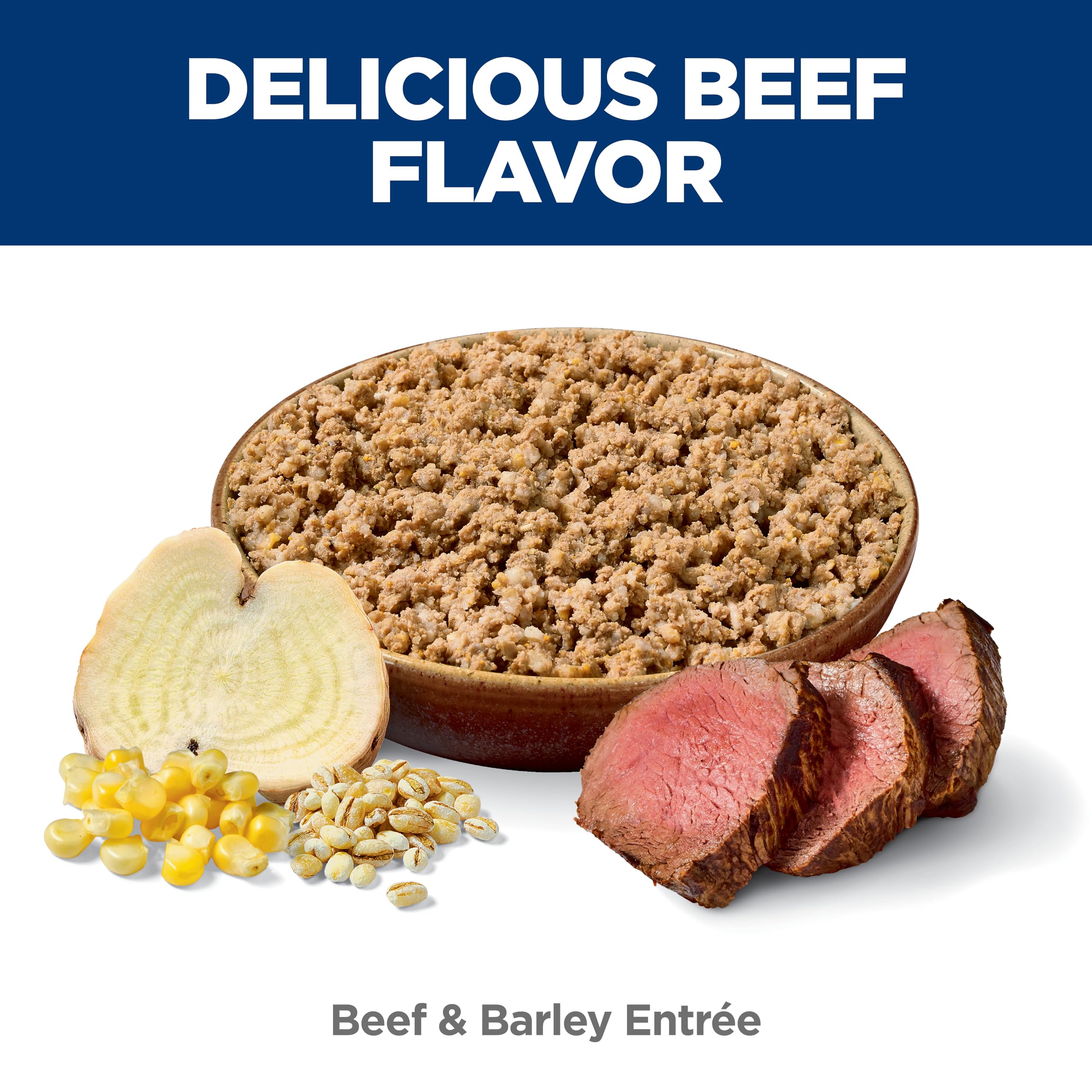 Hill's Science Diet zoom sur morceaux de bœuf et qualité protéique visible