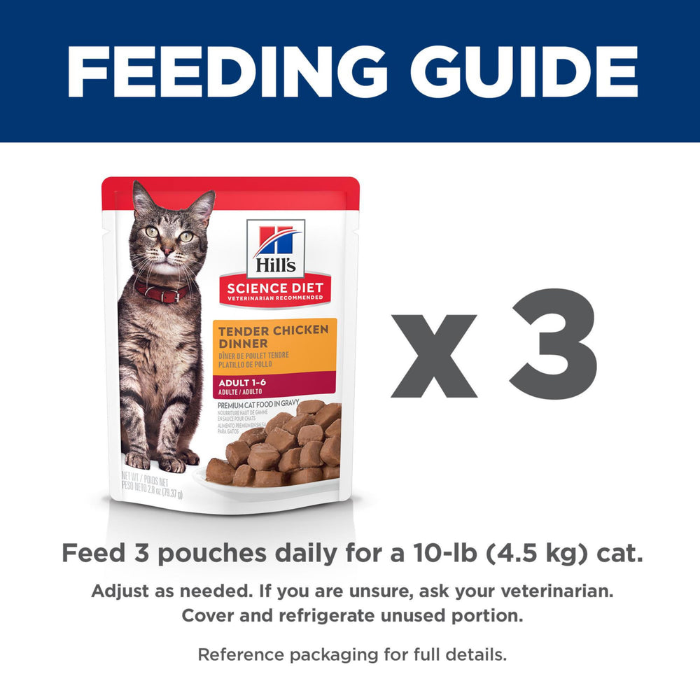 Hill's Science Diet assortiment de sachets et boîte pour stockage pratique
