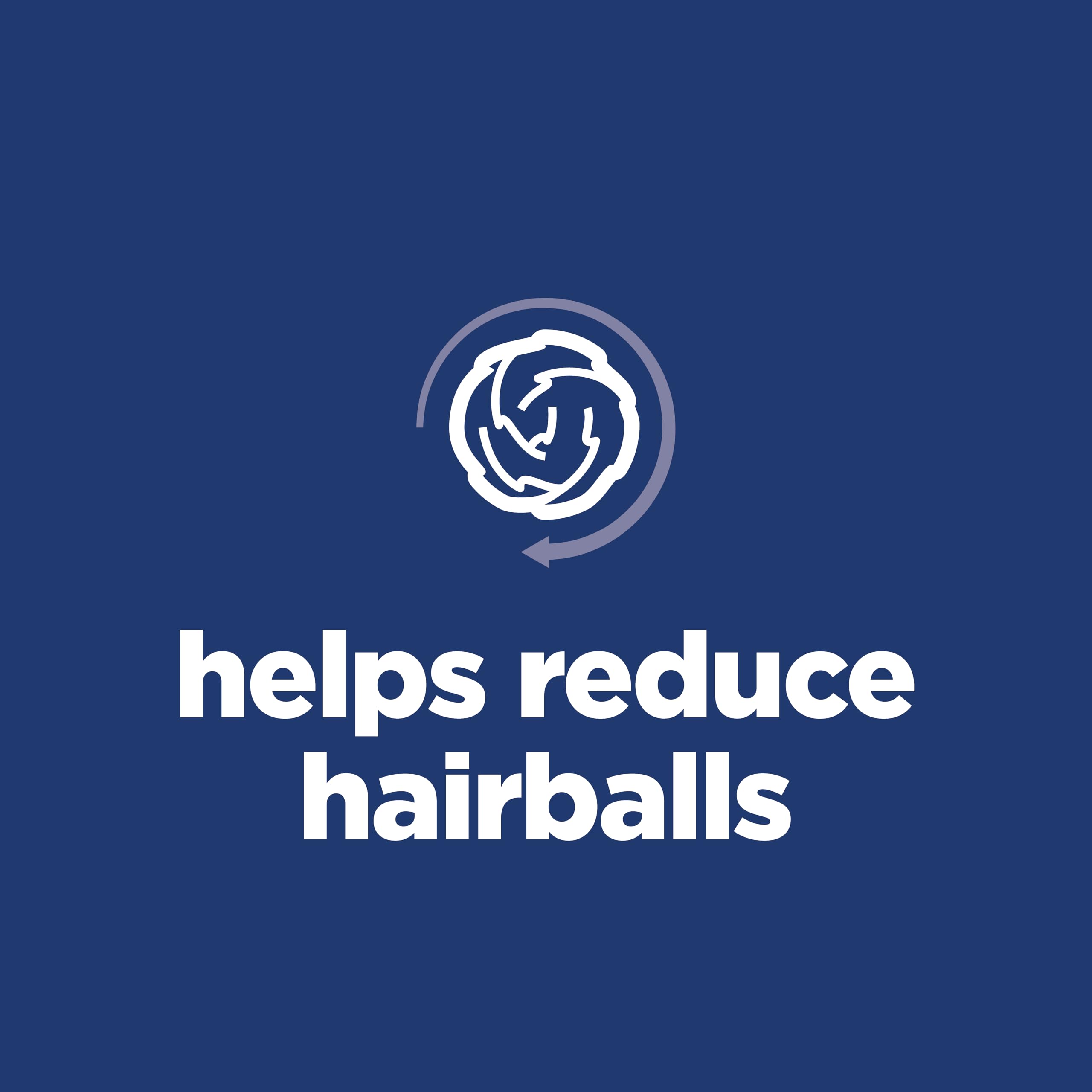 Hill's Science Diet bol rempli de croquettes, portion pratique pour repas quotidien