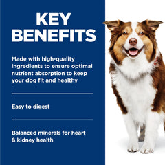 Hill's Science Diet bol servi, favorisant hydratation et appétit