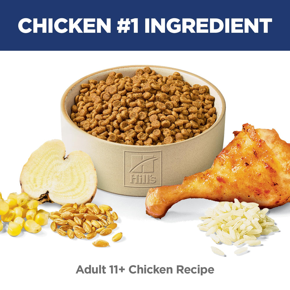 Hill's Science Diet bol servi pour appétence et repas équilibré du chat