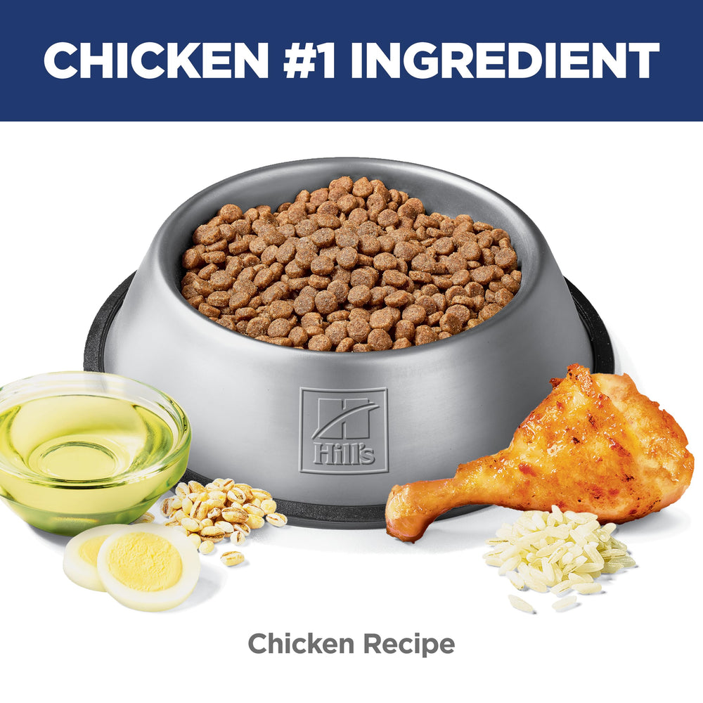 Hill's Science Diet bol servi avec croquettes au poulet pour appétence et nutrition