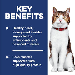 Hill's Science Diet bol servi montrant portion recommandée pour un chat senior