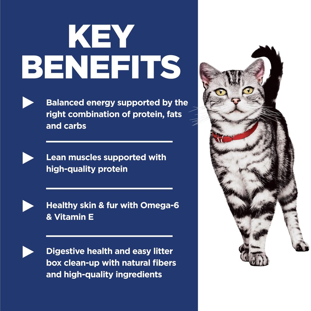 Hill's Science Diet chat qui mange à l'intérieur encourage maintien musculaire
