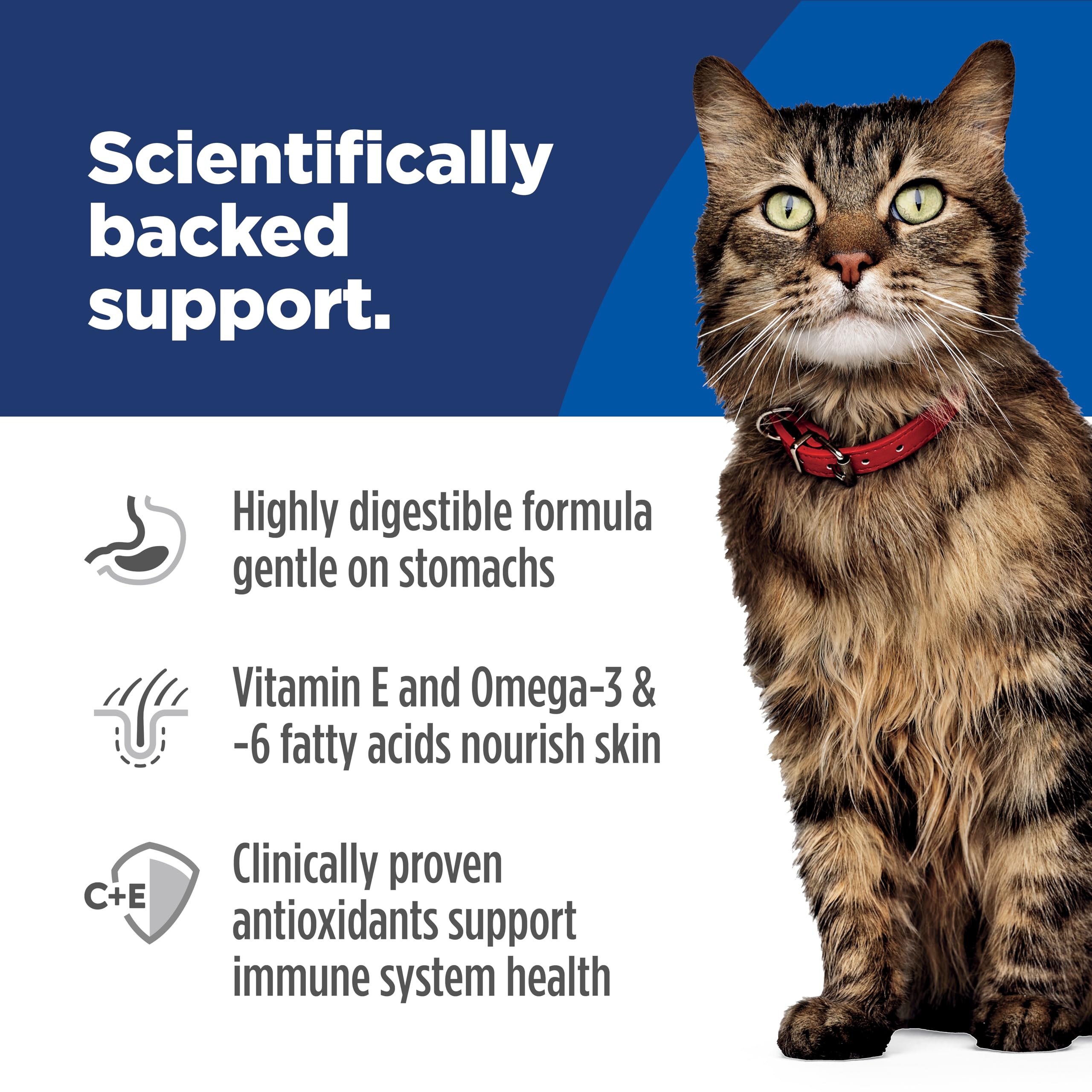 Hill's Science Diet chat mangeant croquettes montrant appétence et confort digestif