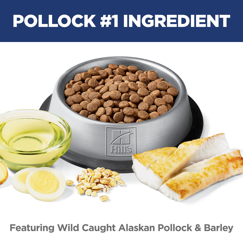 Hill's Science Diet chat mangeant la recette au pollock, favorise confort digestif