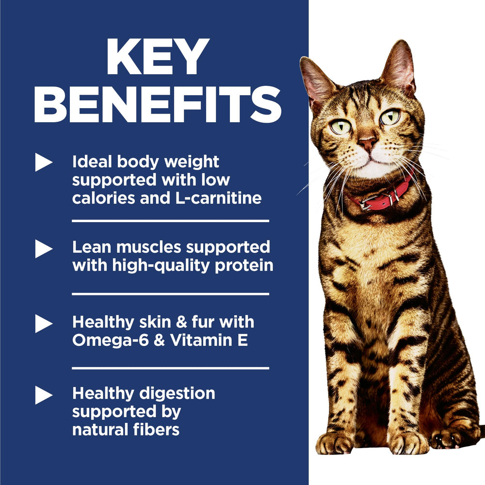Chat qui mange Hill's Science Diet Light, favorise satiété et plaisir alimentaire