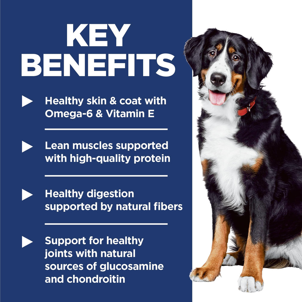 Hill's Science Diet grand chien mangeant, favorise énergie et satiété