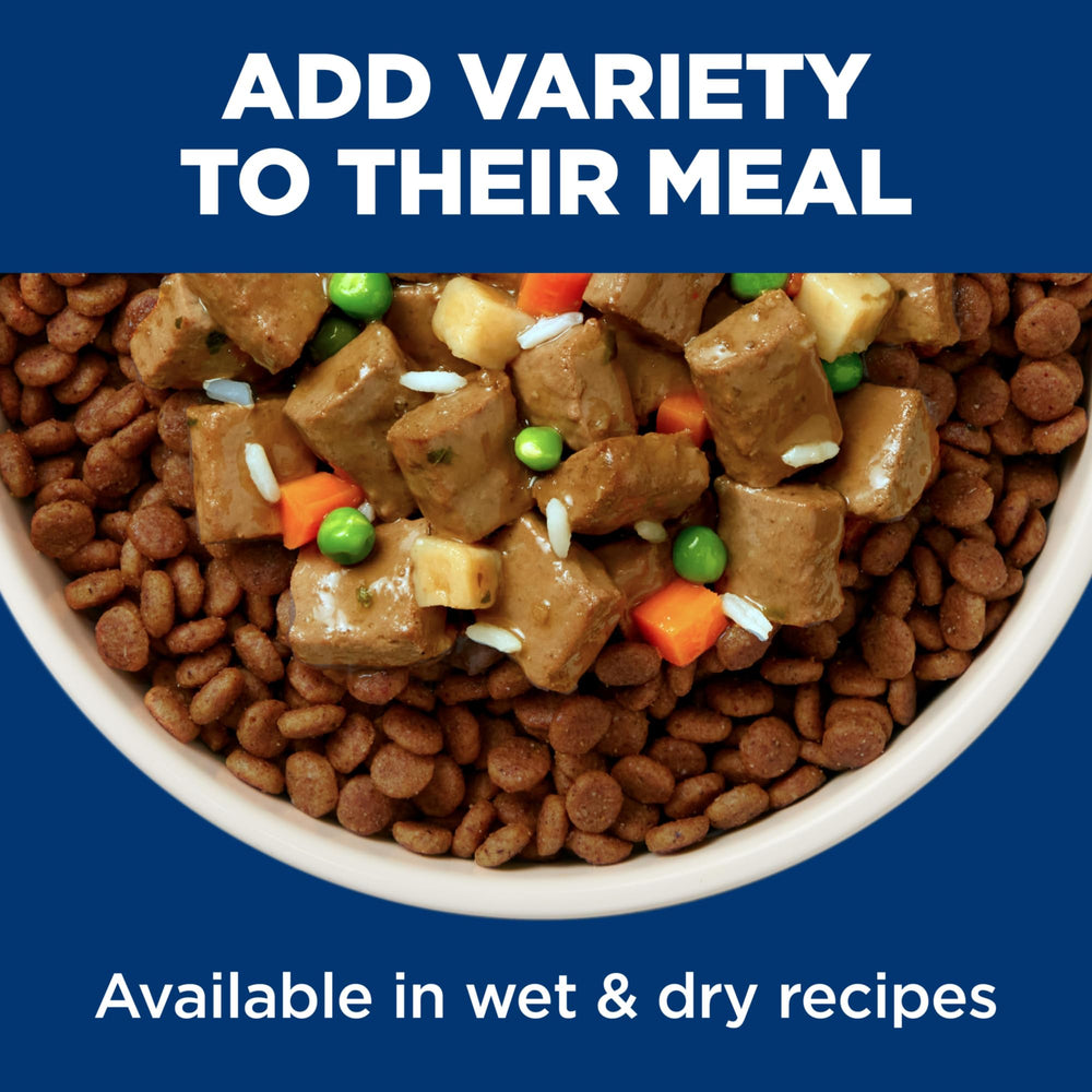 Hill's Science Diet chien mange dans cuisine, repas paisible