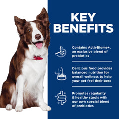 Hill's Science Diet bol servi à un chien, illustre appétit et bien‑être