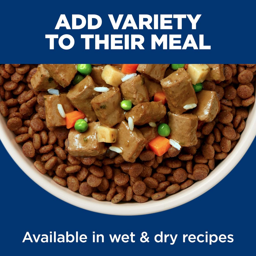 Hill's Science Diet chien mangeant la pâtée sur tapis, acceptation et plaisir de manger