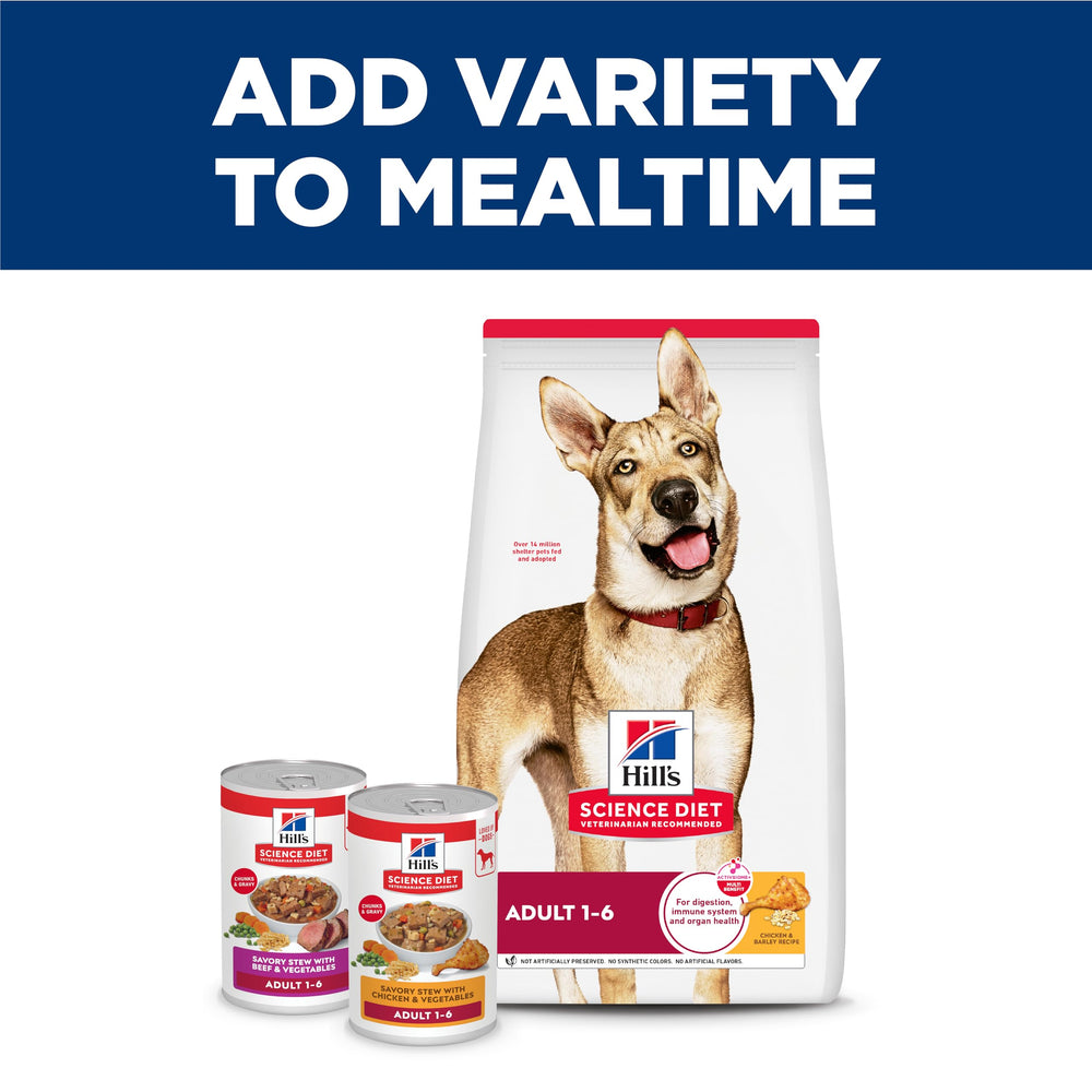 Hill's Science Diet chien mange la pâtée, démontrant gourmandise et acceptation
