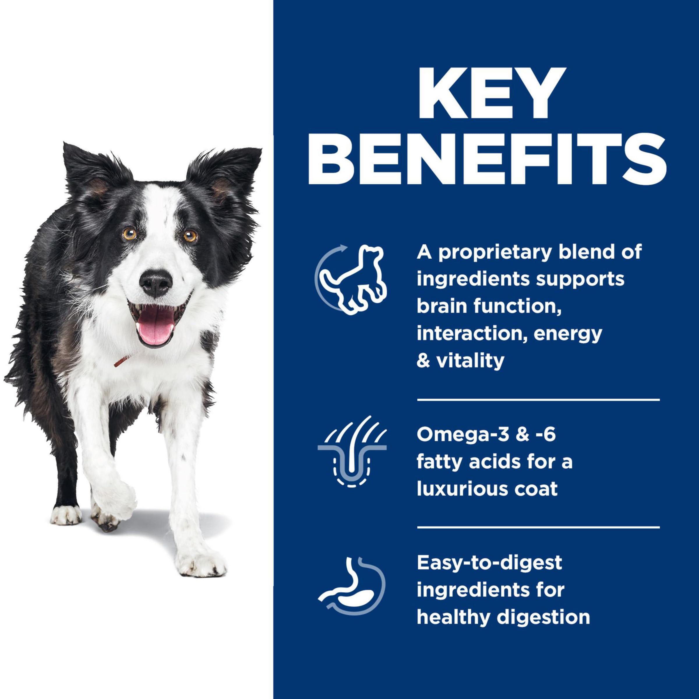 Hill's Science Diet chien mangeant pour démontrer appétence et énergie retrouvée