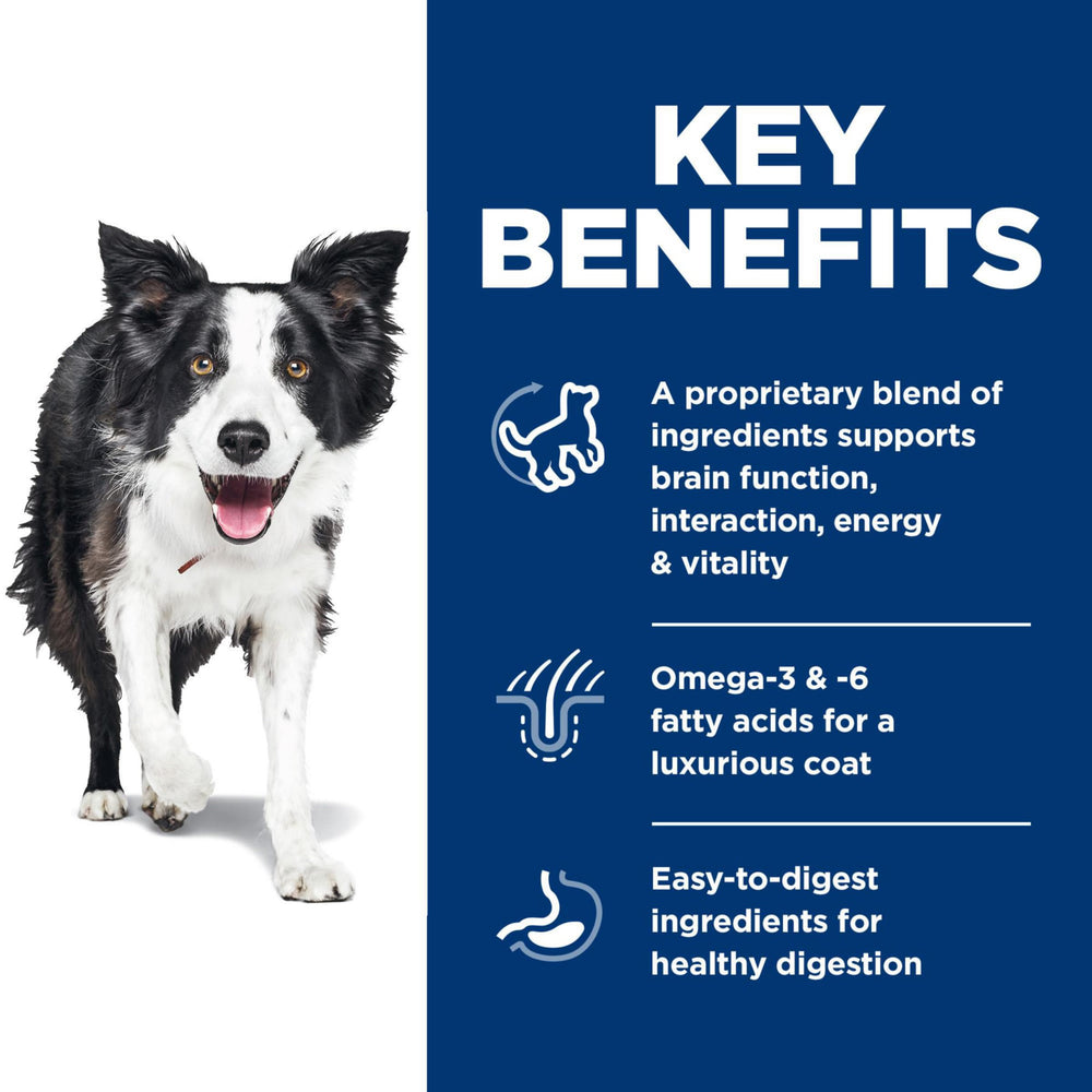 Hill's Science Diet chien mangeant pour démontrer appétence et énergie retrouvée