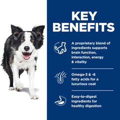 Hill's Science Diet chien mangeant pour démontrer appétence et énergie retrouvée