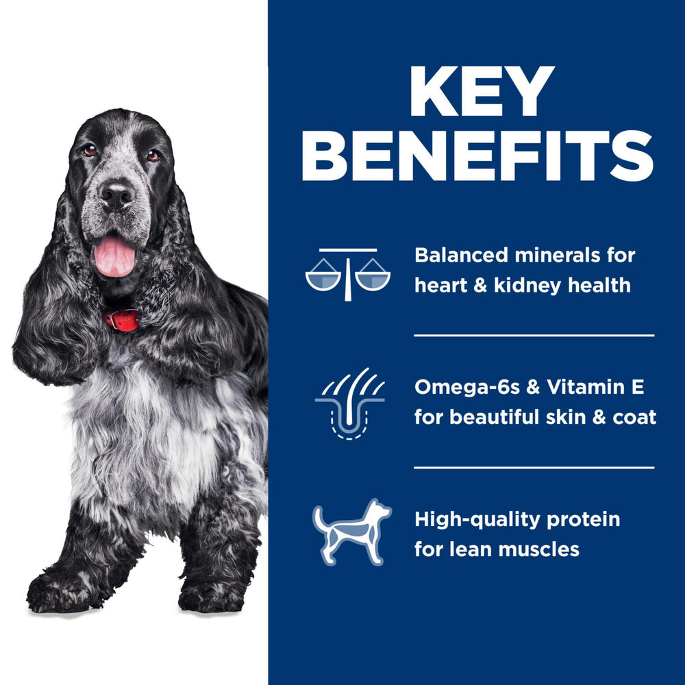 Hill's Science Diet chien mangeant, soutien appétit et activité