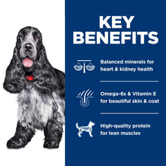 Hill's Science Diet chien mangeant, soutien appétit et activité