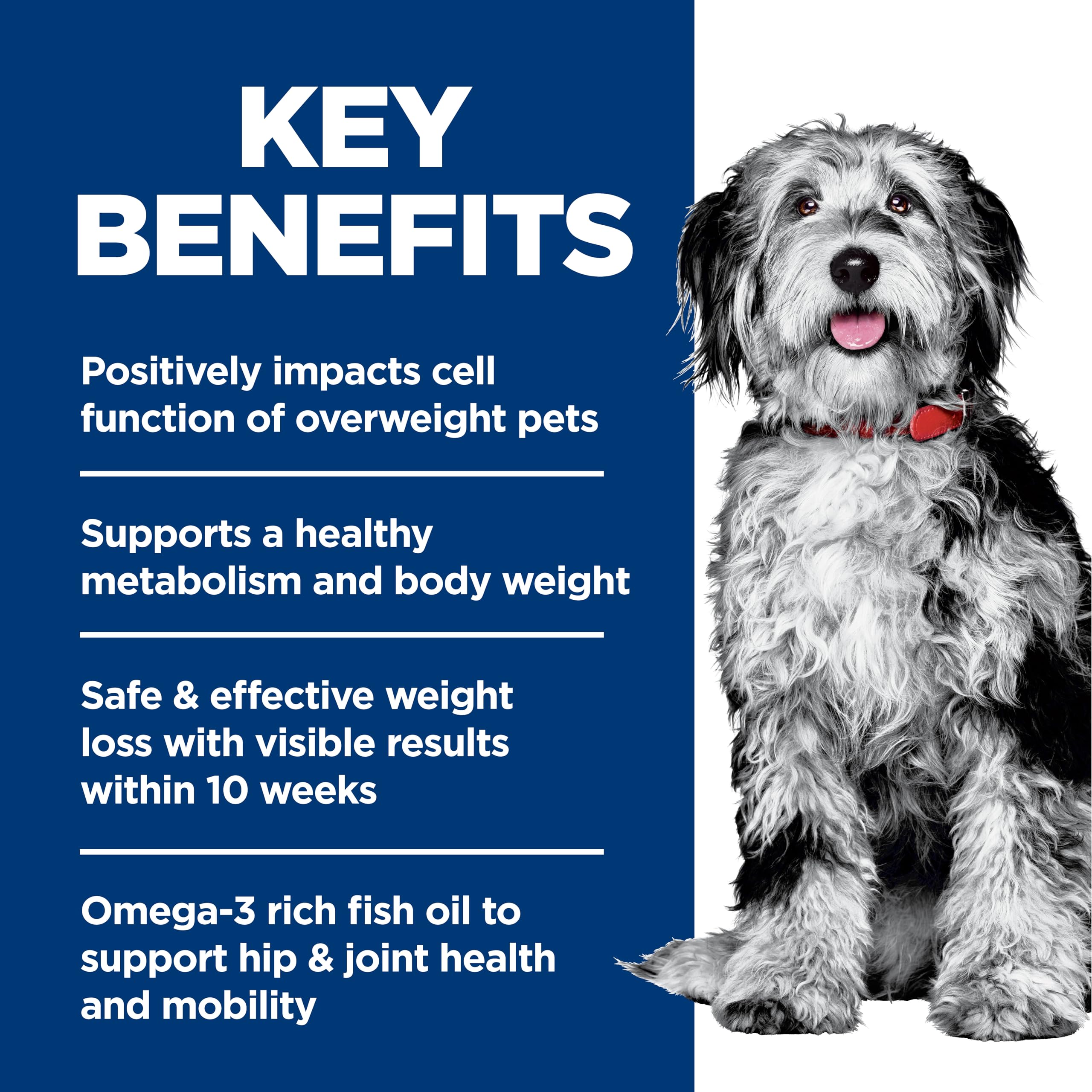 Hill's Science Diet chien en promenade montrant amélioration de la mobilité