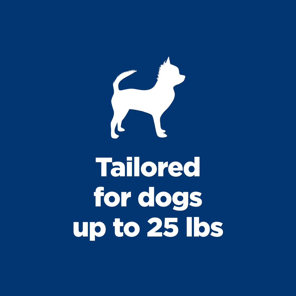 Hill's Science Diet petit chien mangeant pour faciliter l'acceptation alimentaire