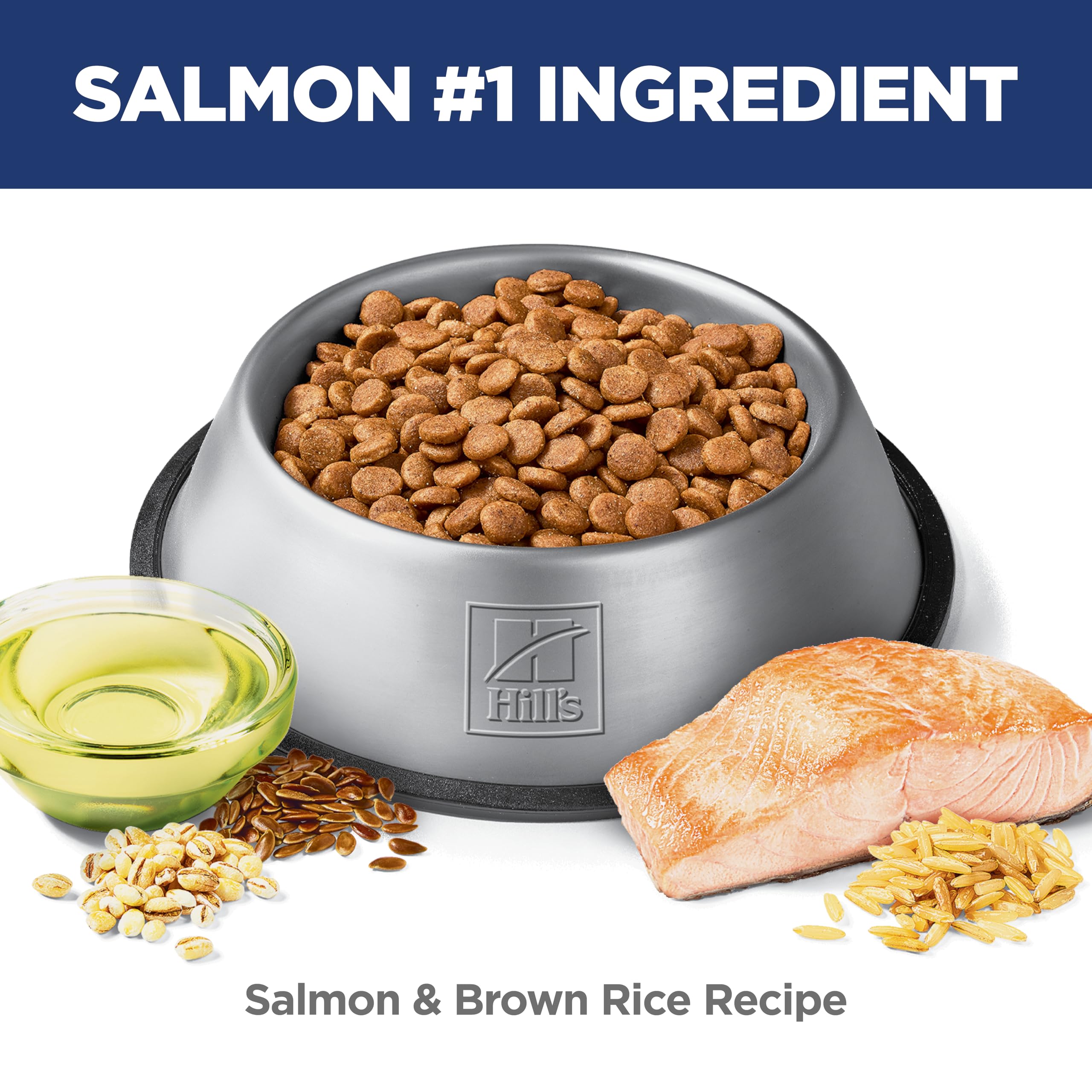 Hill's Science Diet chien mangeant montre facilité d'alimentation
