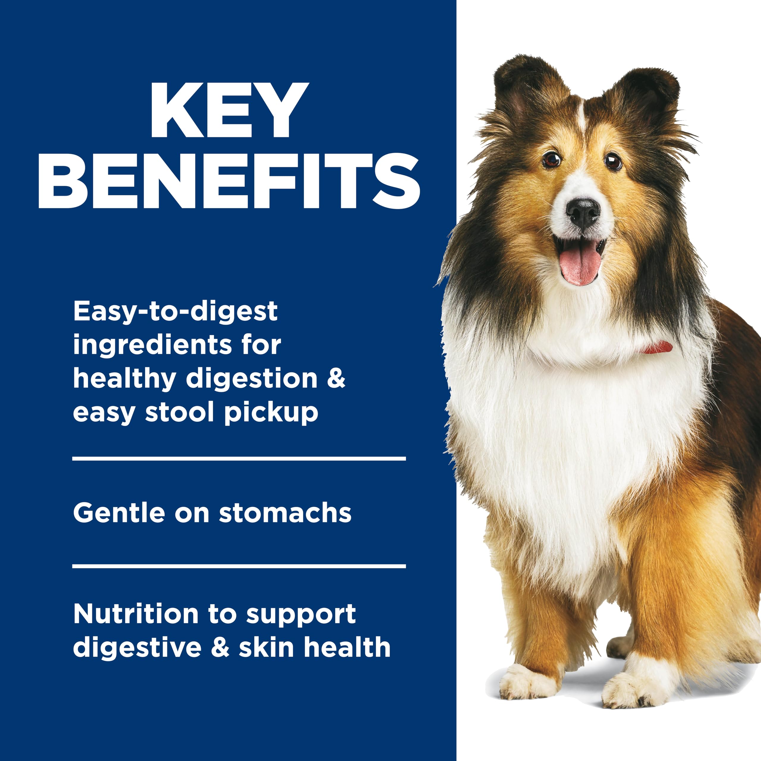 Hill's Science Diet portion comparée à une main, dosage pratique