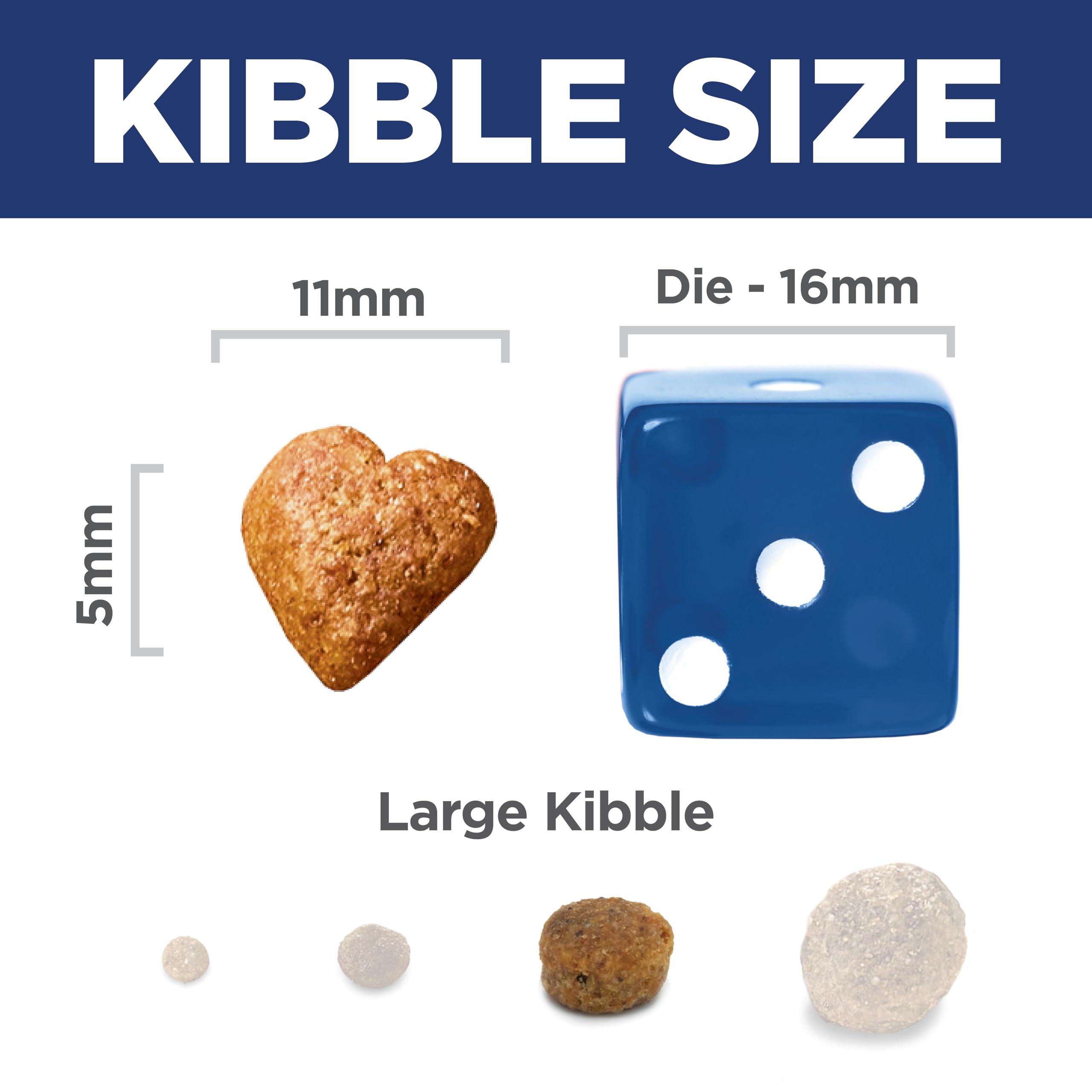Hill's Science Diet comparaison taille des croquettes pour évaluer portion et contrôle calorique