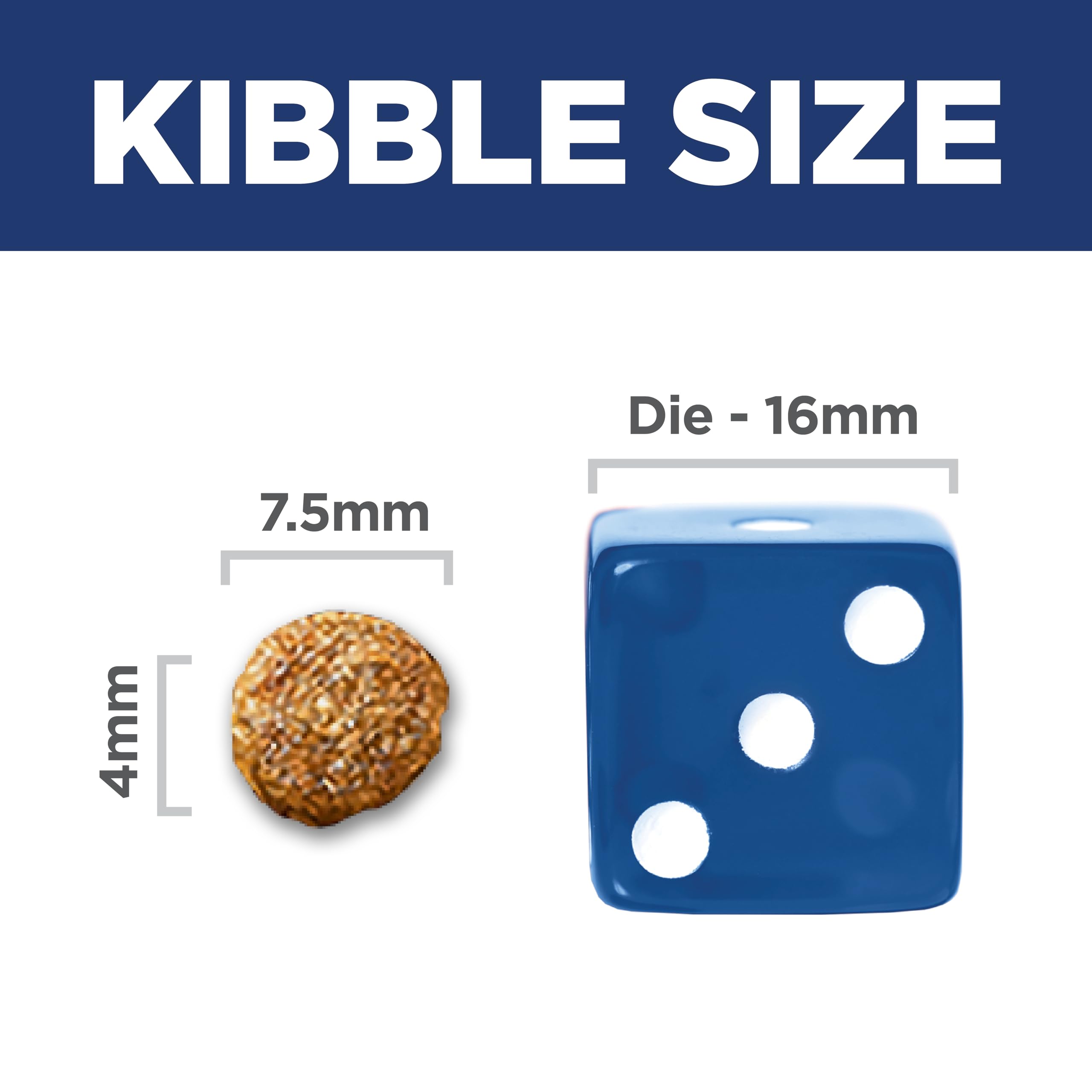 Hill's Science Diet croquettes dans la main illustrant portion et contrôle des rations