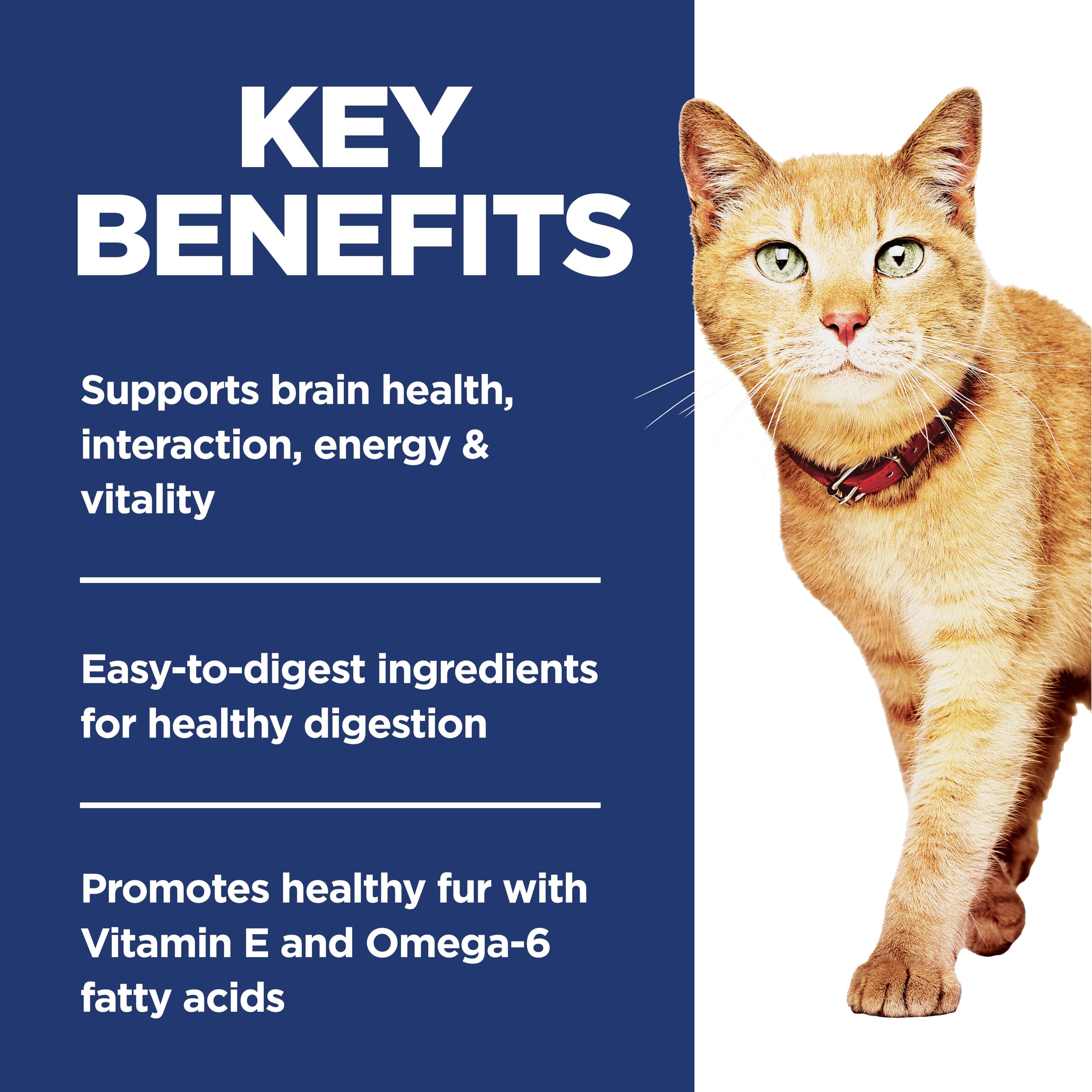 Hill's Science Diet étiquette composition montrant ingrédients naturels et transparence