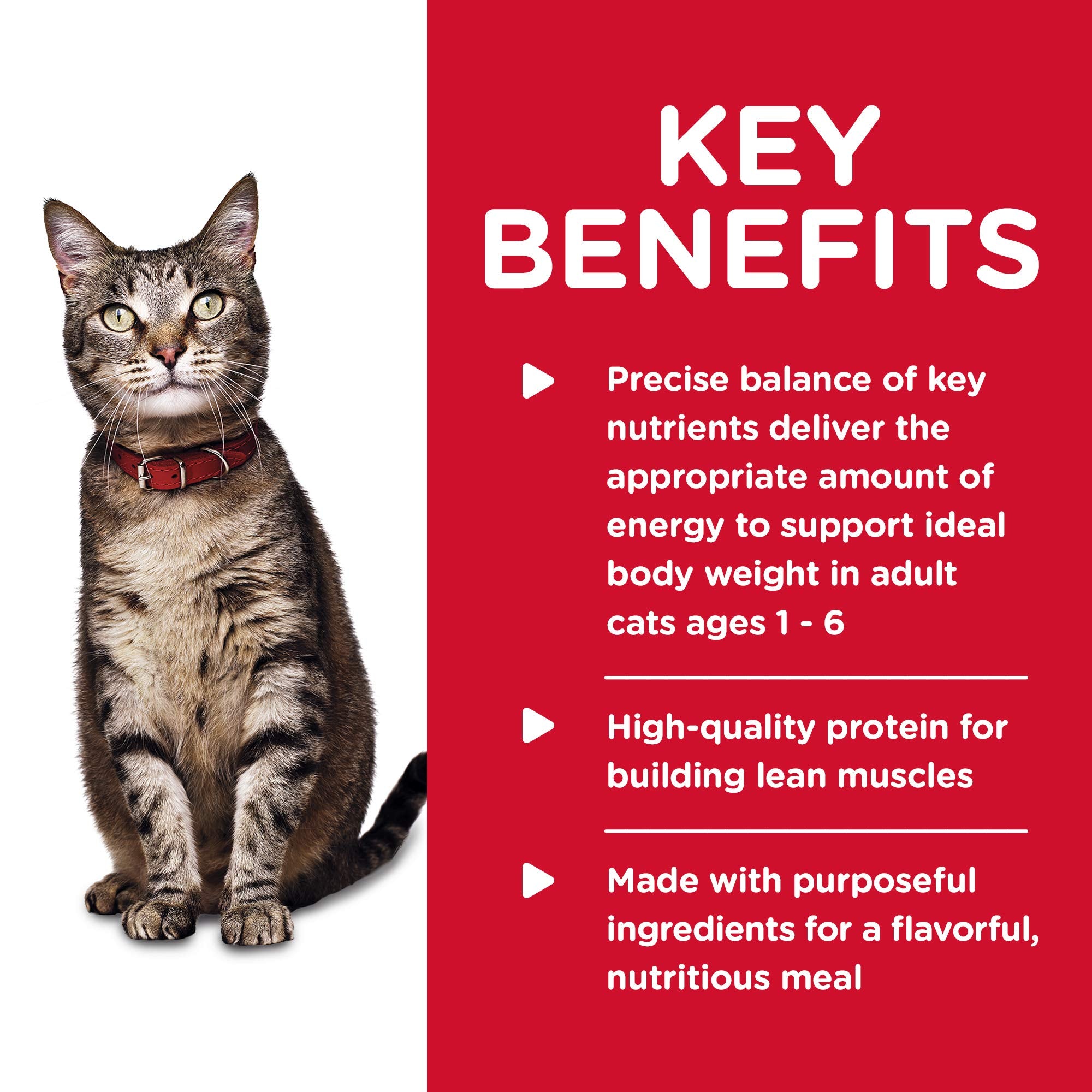 Hill's Science Diet étiquette détaillée soulignant ingrédients et vitamines