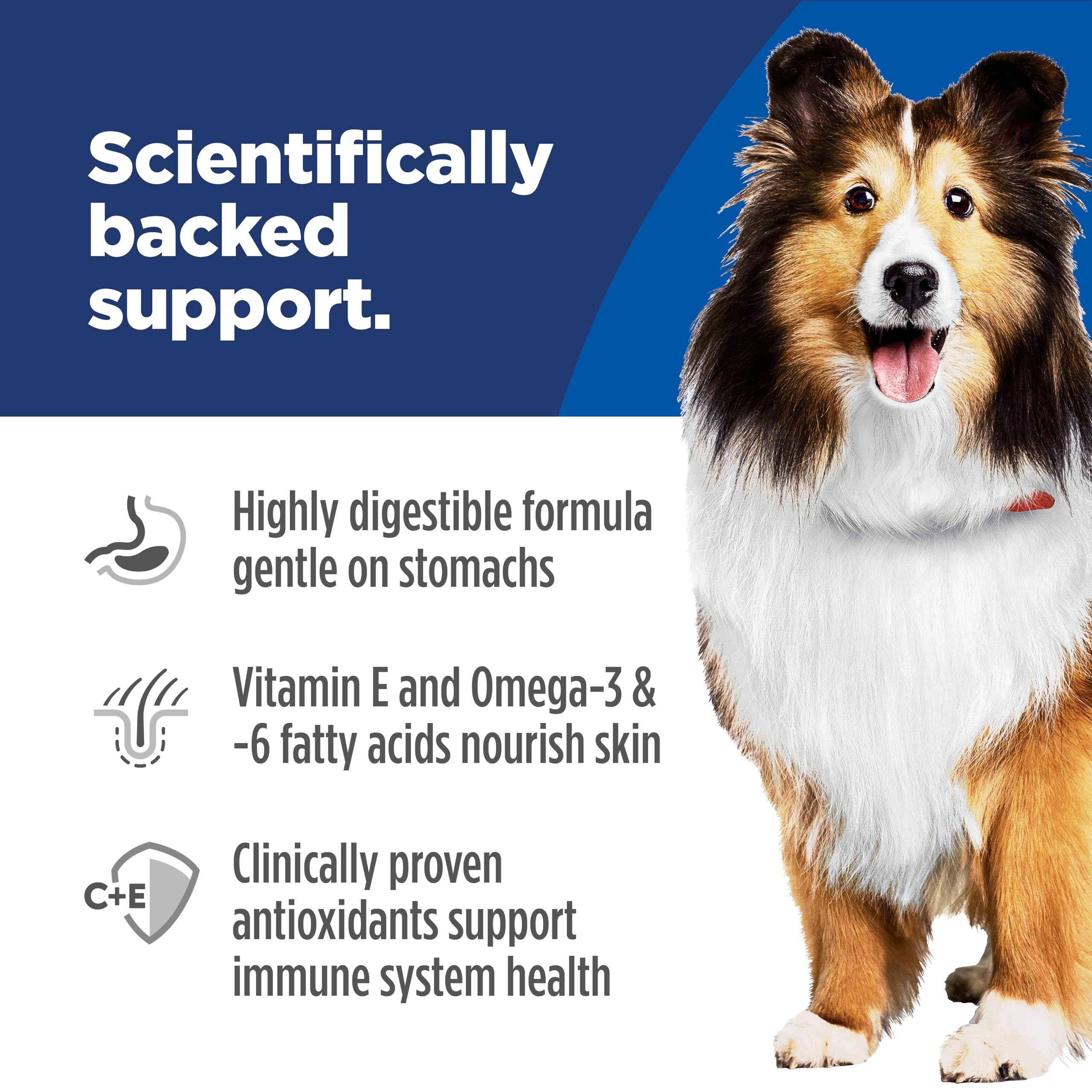 Hill's Science Diet étiquette nutritionnelle détaillée pour choix informé