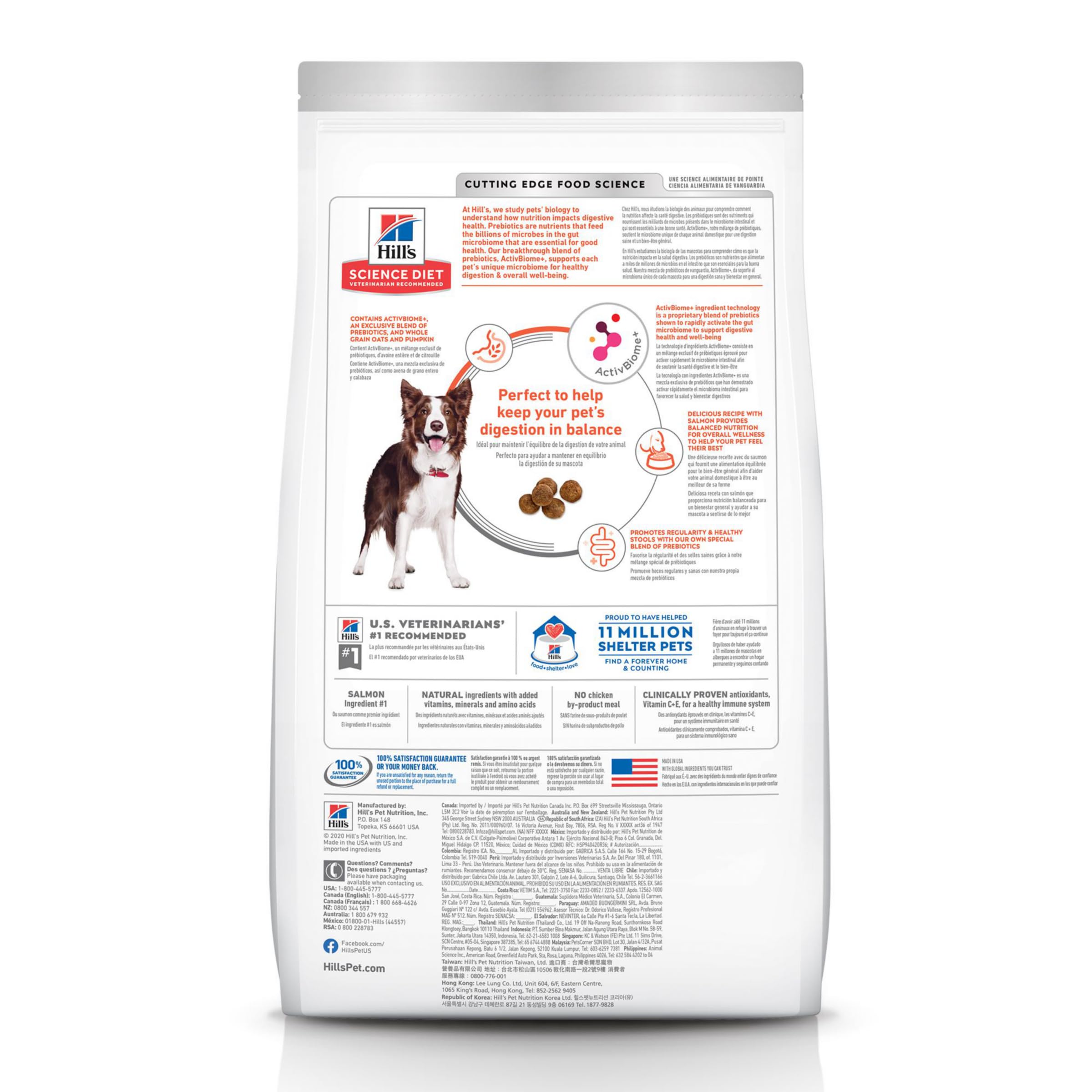 Hill's Science Diet gros plan des croquettes illustrant digestion facile pour chien