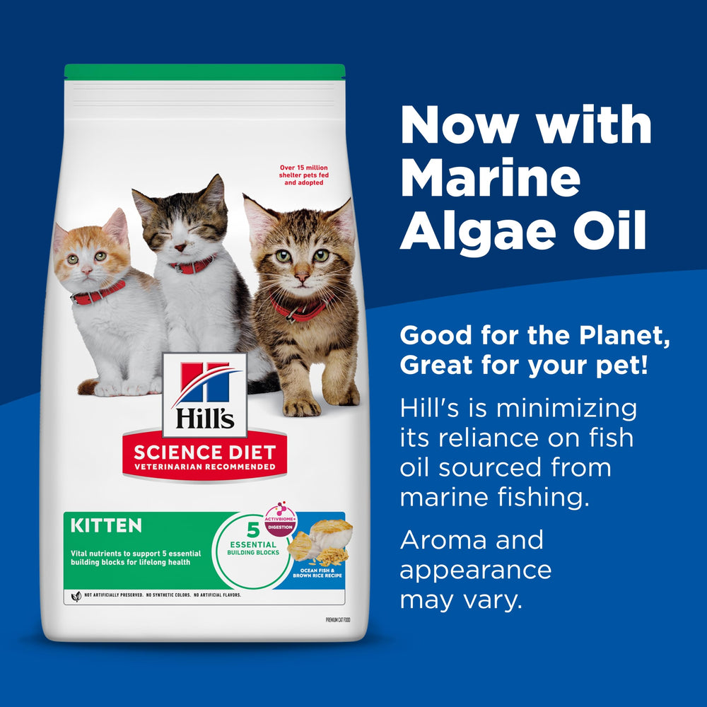 Hill's Science Diet gros plan des croquettes montrant la texture appétente et nutritive