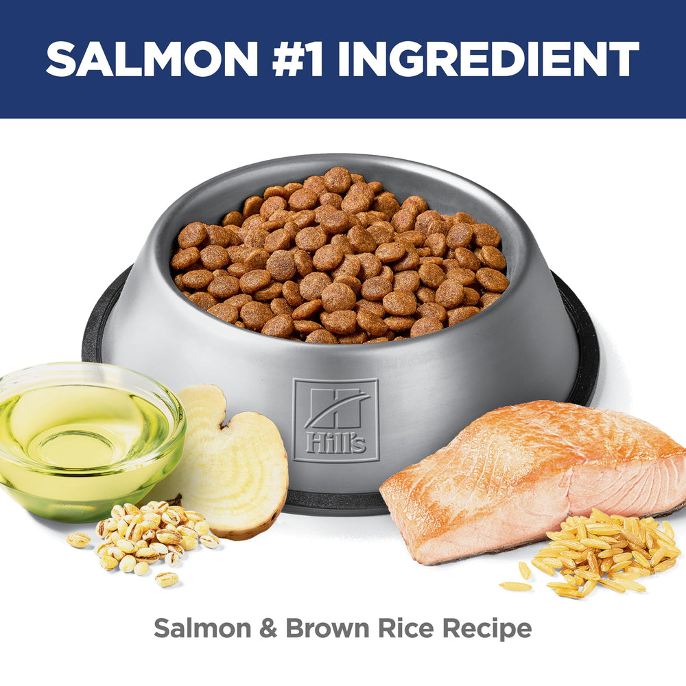 Hill's Science Diet filet de saumon frais illustrant la source de protéines savoureuse