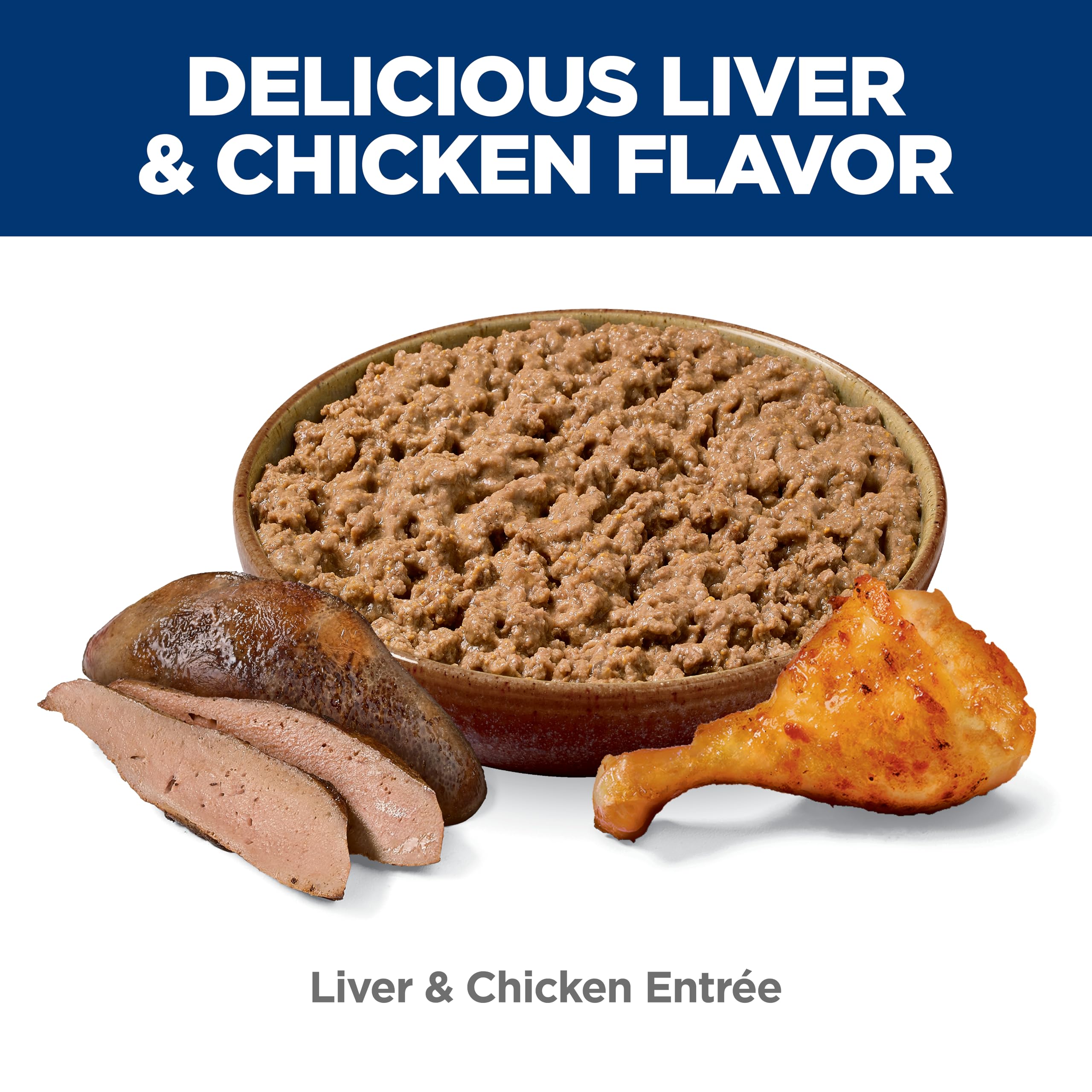 Hill's Science Diet bol servi pour chaton favorisant prise alimentaire facile