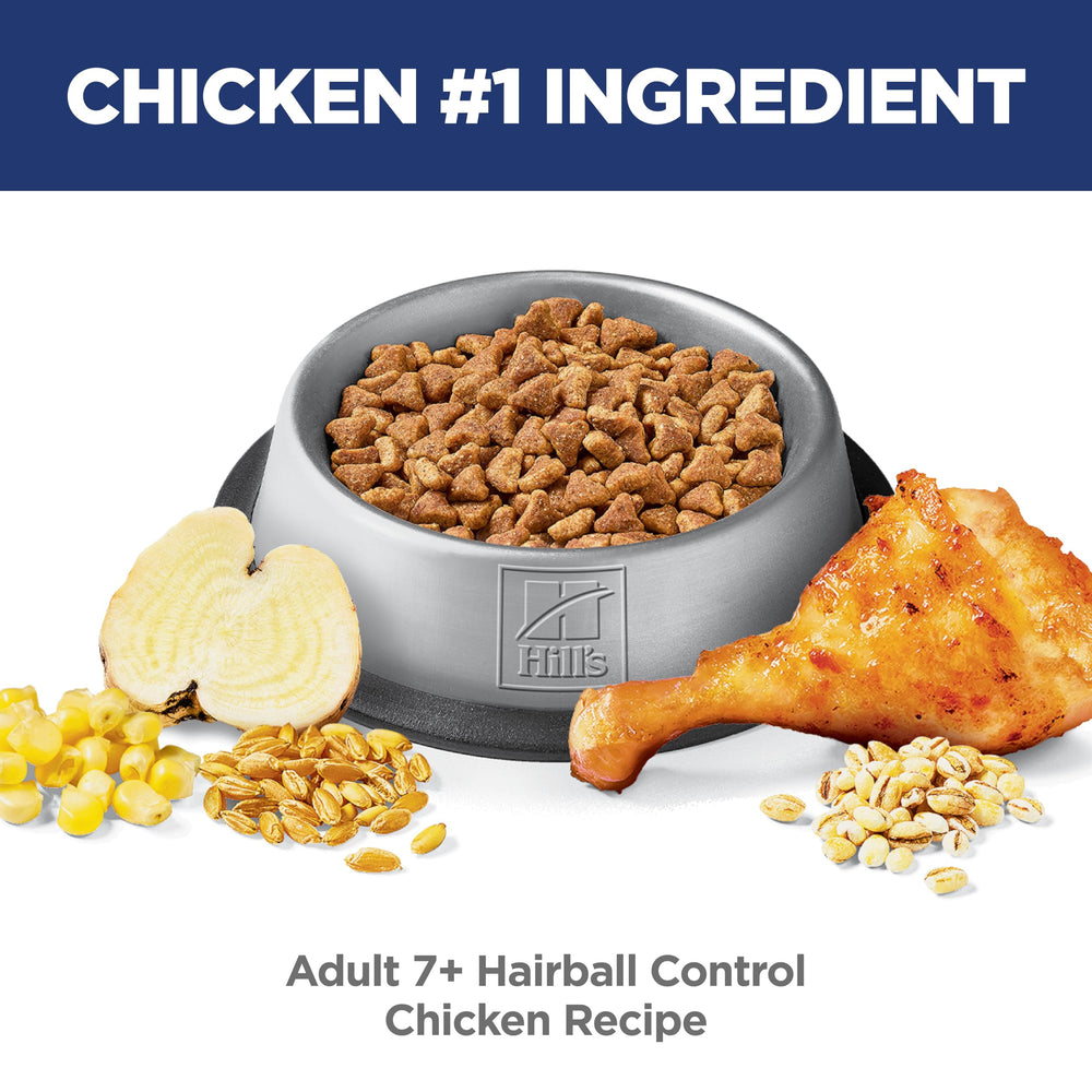 Hill's Science Diet portion servie dans une gamelle pour contrôle des rations quotidiennes
