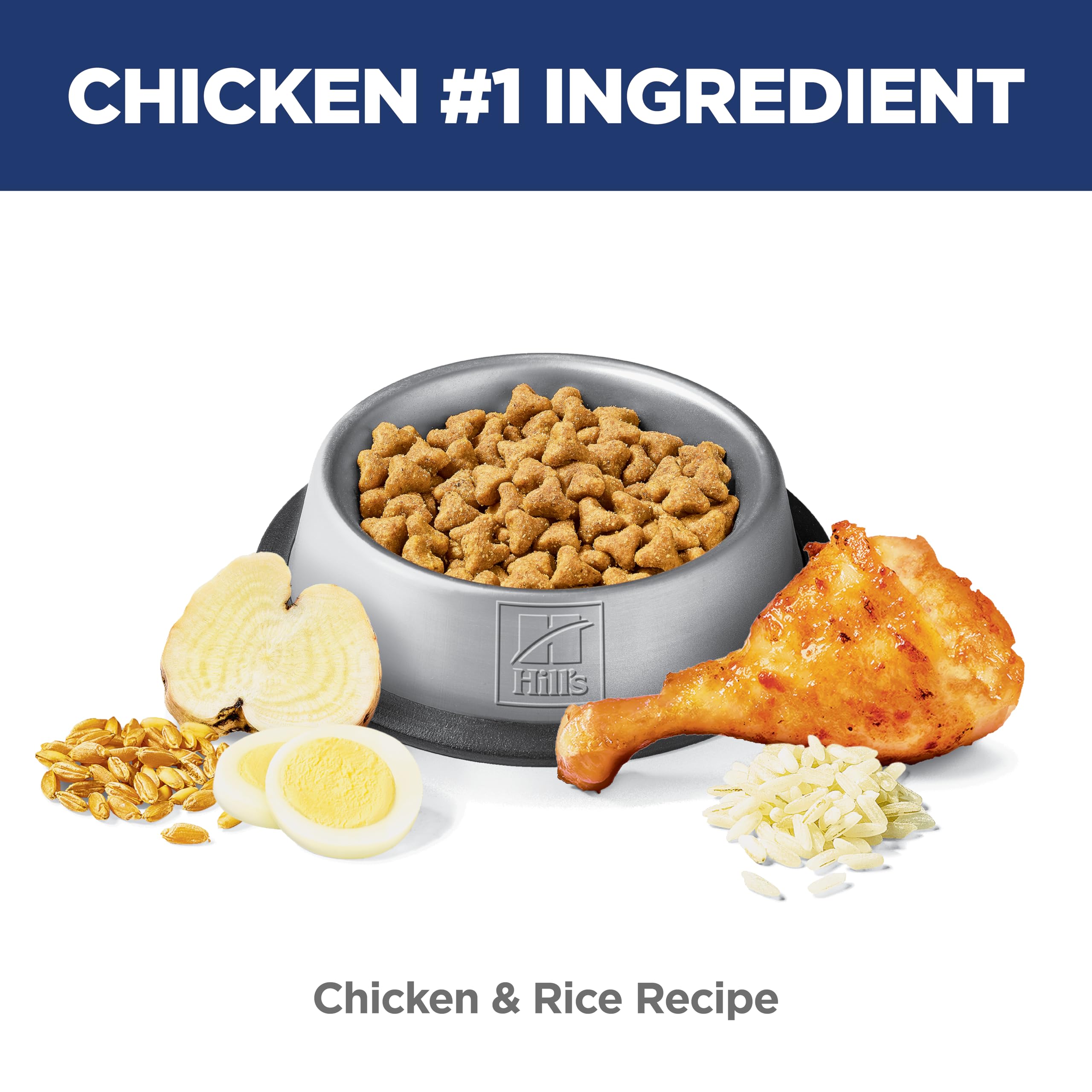 Hill's Science Diet portion pour chat moyen, contrôle des rations quotidiennes