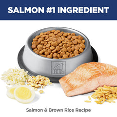 Hill's Science Diet grains de riz brun détaillés apportant glucides digestibles et énergie