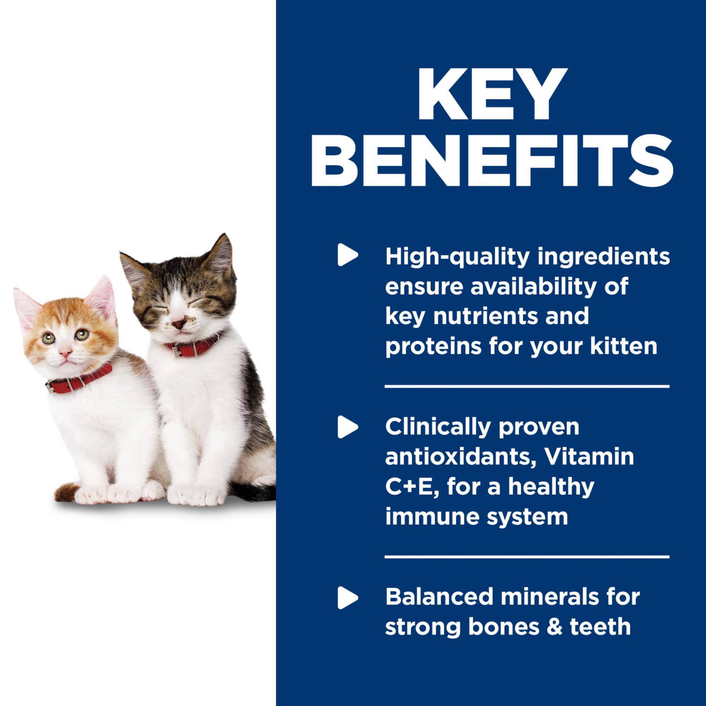 Hill's Science Diet pâtée servie dans une assiette pour chaton facilité d'alimentation
