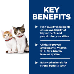 Hill's Science Diet pâtée servie dans une assiette pour chaton facilité d'alimentation