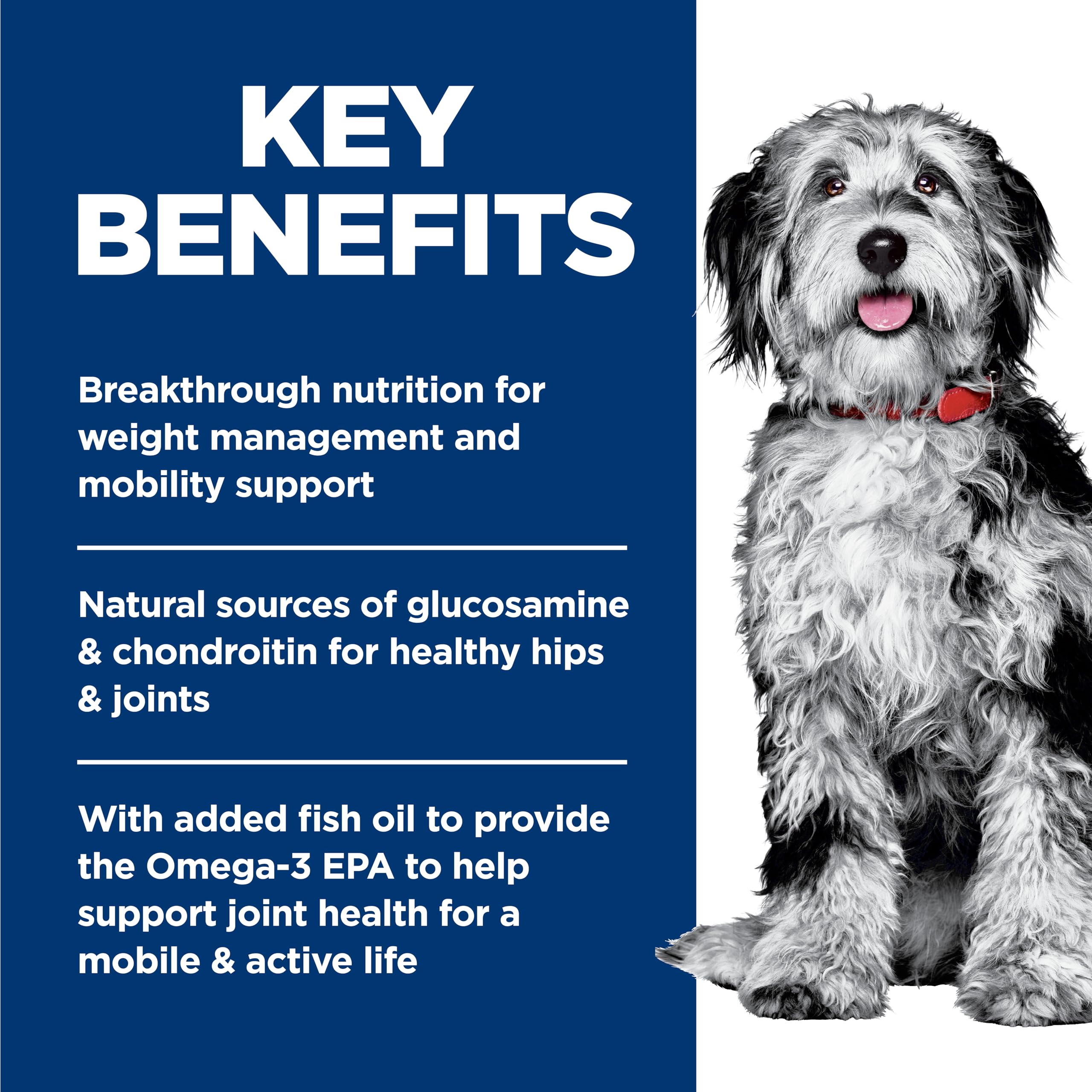 Hill's Science Diet bol avec portion mesurée pour gestion des rations