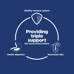 Hill's Science Diet texture des croquettes soulignant la consistance digestible