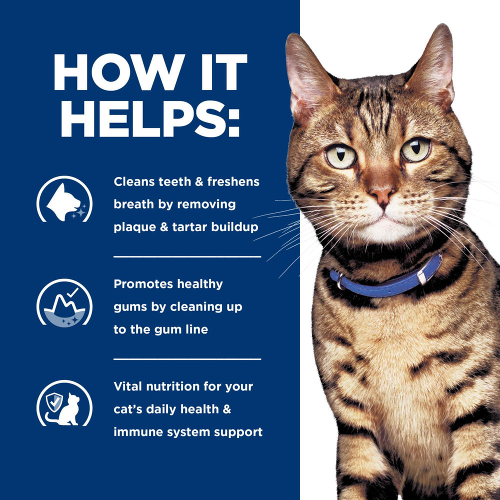 HILL'S PRESCRIPTION DIET t/d vétérinaire examinant dentition de chat pour suivi