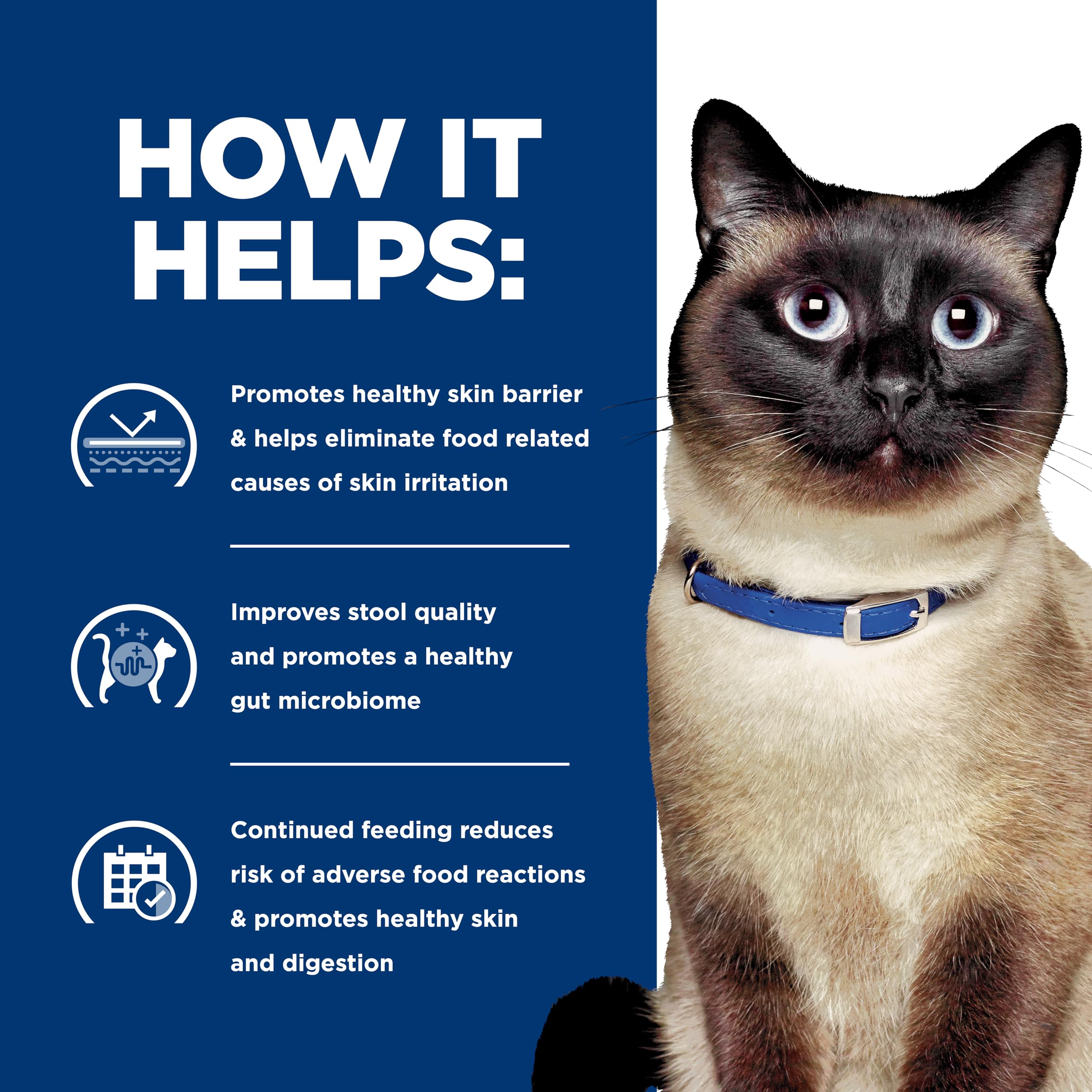 Hill's Prescription Diet chat consommant la nourriture pour une meilleure tolérance